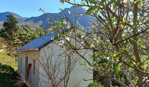 Off-grid cottage for couple: Almond blossoms