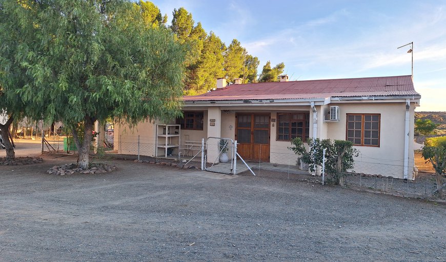 The Olive Cottage: Back view