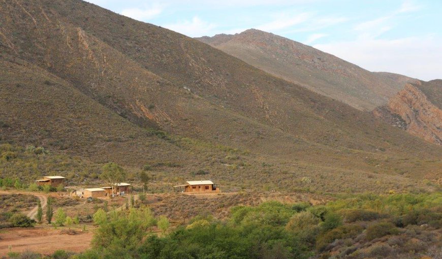 Brown-Hooded Kingfisher: Giant, Pied & Brown-hooded Cottages with communal braai and eco pool