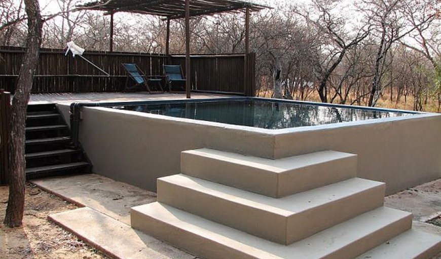 Swimming Pool in Bela Bela (Warmbaths), Limpopo, South Africa