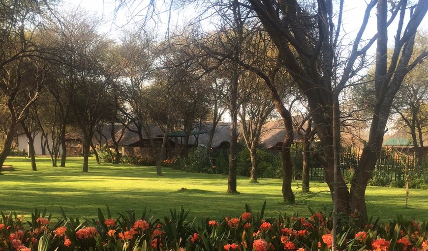 Gardens in Mookgophong, Limpopo, South Africa