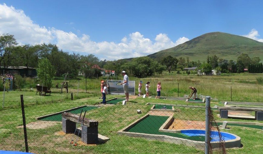 DeKotzenhof have built a 9-hole Putt Putt (mini golf) Course which is great fun for both young and old to enjoy. For a mere R35 pp a round, it’s great for family or corporate challenges / birthday parties!