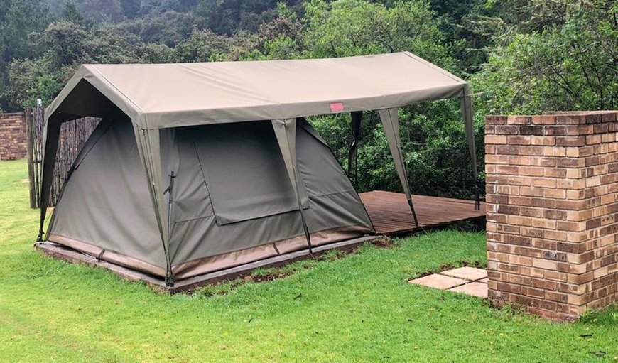 Tented Camp: Tented Camps