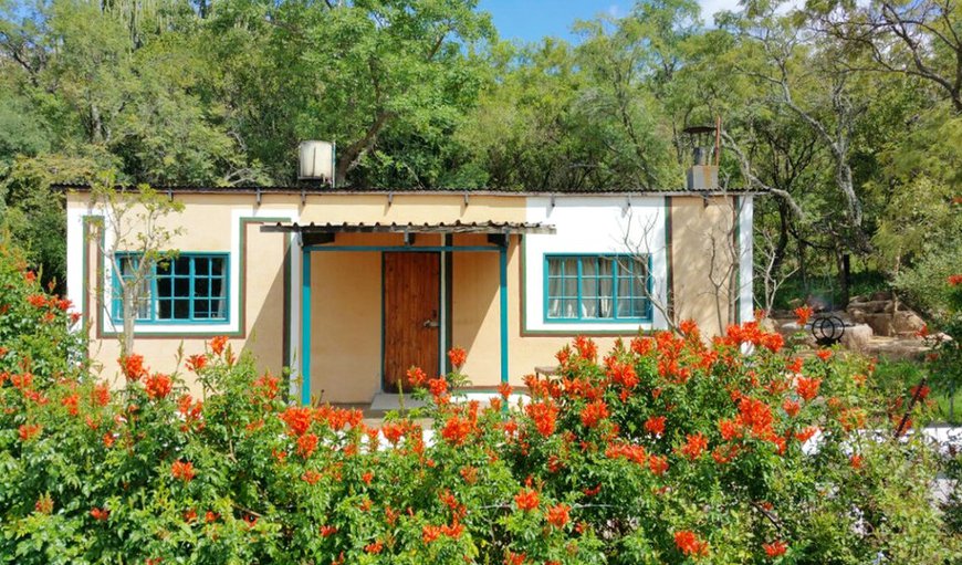 The Cot House: The Cot House - Exterior