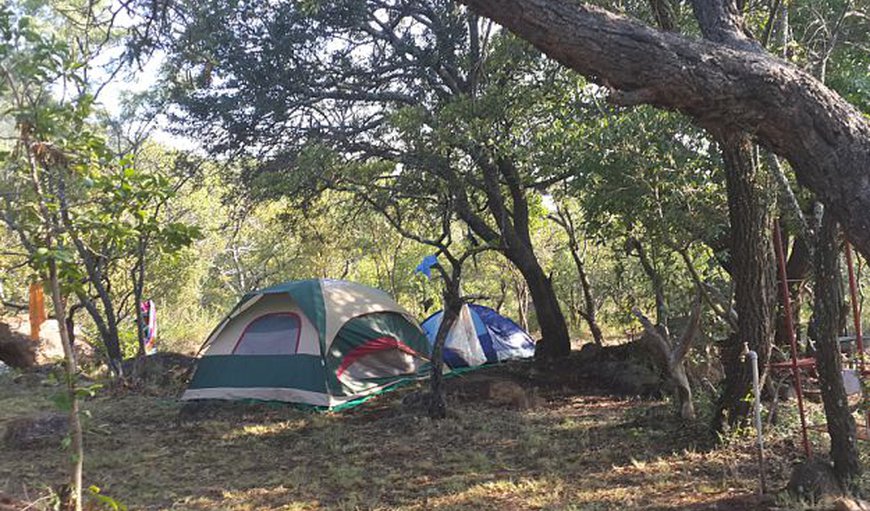 Camp Sites: Camp Site