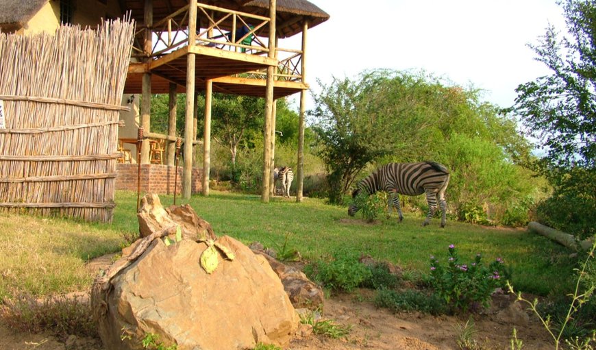 Welcome to Majuli River Lodge in Marloth Park, Mpumalanga, South Africa