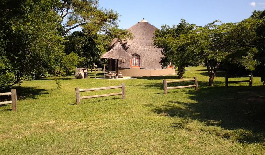 Welcome to Jock of the bushveld in Nelspruit (Mbombela), Mpumalanga, South Africa