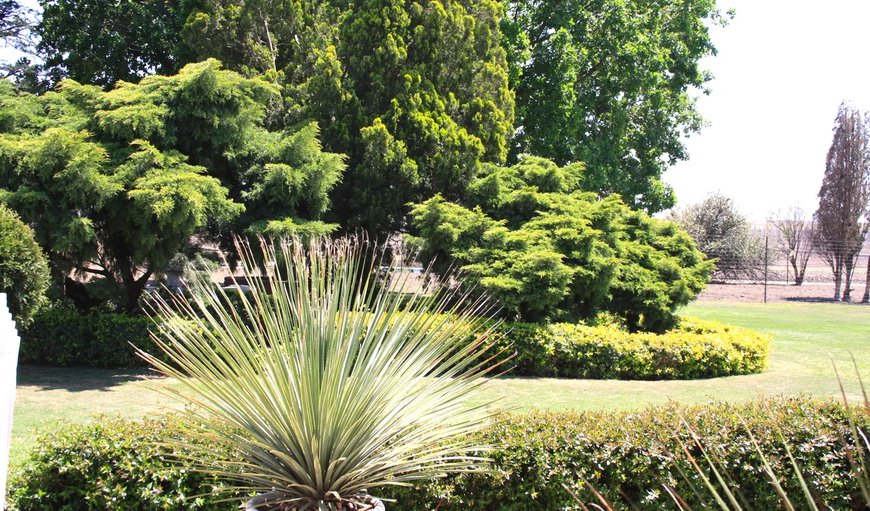 Green Lush Gardens in Standerton, Mpumalanga, South Africa