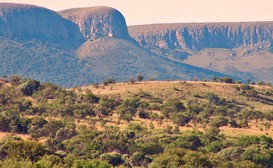 Ekukhuleni Bushveldt Farm Cottages image