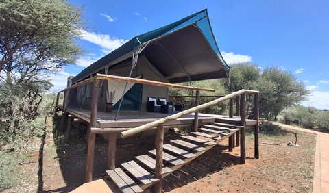 King Safari Tent: Patio