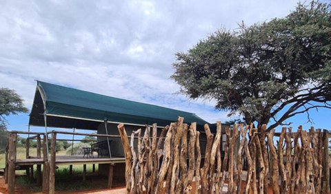 King Safari Tent 5: View