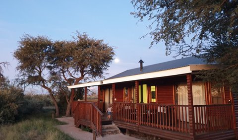 Log Cabin: View