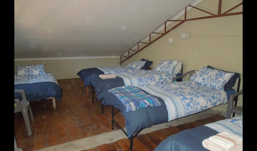 Dormitory / Backpackers: Dormitory
