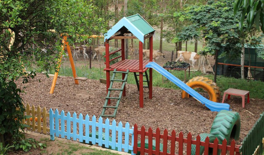 kids play area