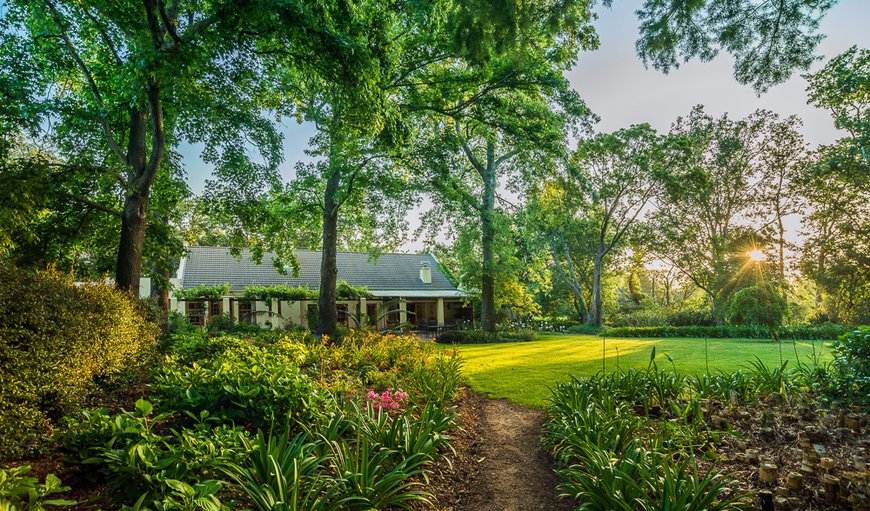 Welcome to Languedoc Farm in Stellenbosch, Western Cape, South Africa