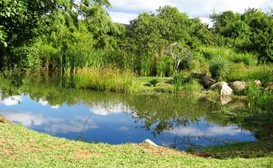 Hippo’s Haven – Hans Merensky image