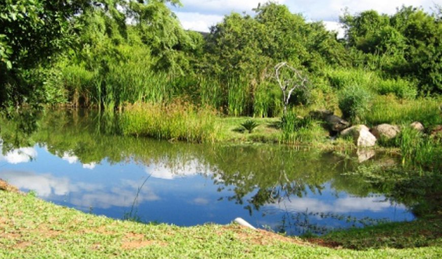 Hippo’s Haven – Hans Merensky in Phalaborwa, Limpopo, South Africa