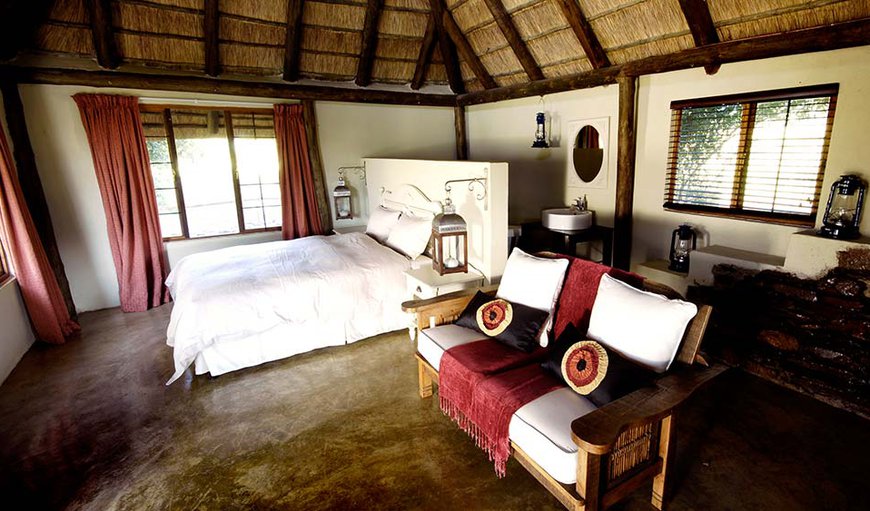 Figtree Lodge: Fig Tree Lodge open plan living area with queen size bed.