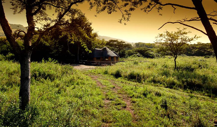 Figtree Lodge: Fig Tree Lodge from a distance.