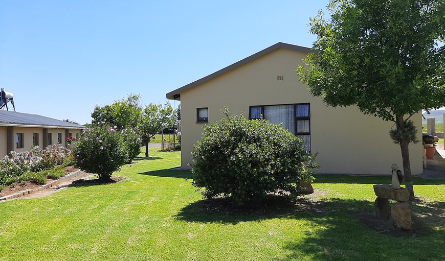 Welcome to Grace Country Retreat in Memel, Free State Province, South Africa