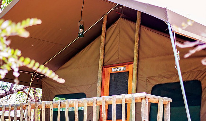 Tamboti Camp: Tamboti Camp - Tent