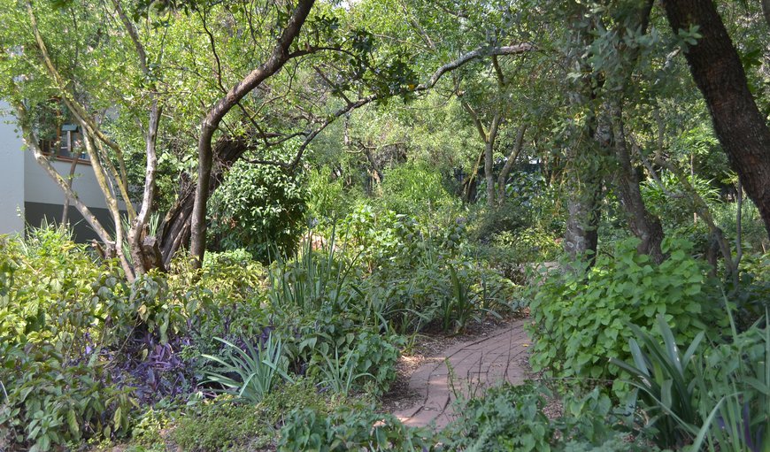 Indigenous Garden View
