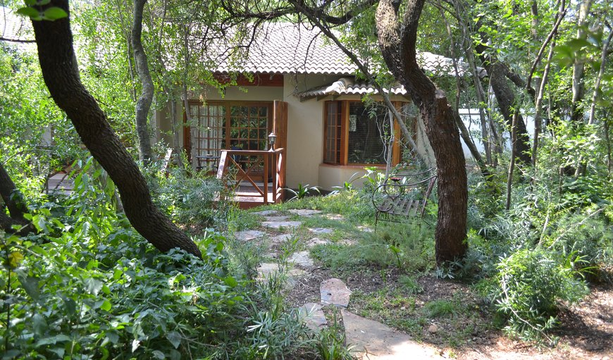 View of the Guineafowl Suite from the Exquisite Indigenous Garden setting in Bryanston, Johannesburg (Joburg), Gauteng, South Africa