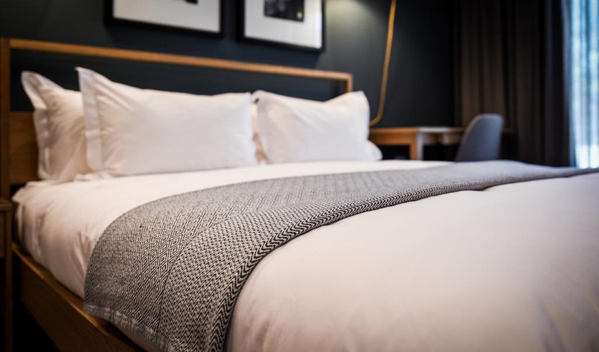 Hotel Room: Hotel Room