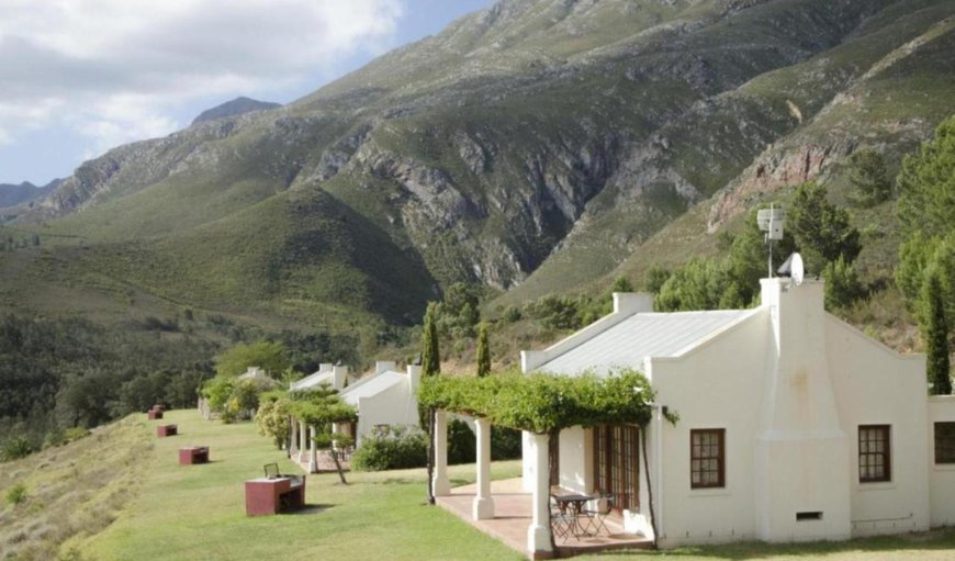 Welcome to Bushmanspad Estate in Bonnievale, Western Cape, South Africa