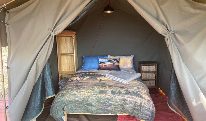 T3, Tent Double on deck in valley: Tent Double on deck in valley incl linen - Tent with a double bed