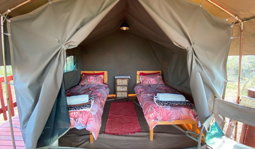 T1 2 Single beds. Tent on deck in valley: 2 Single Tent on deck in valley incl lin - Tent with 2 single beds
