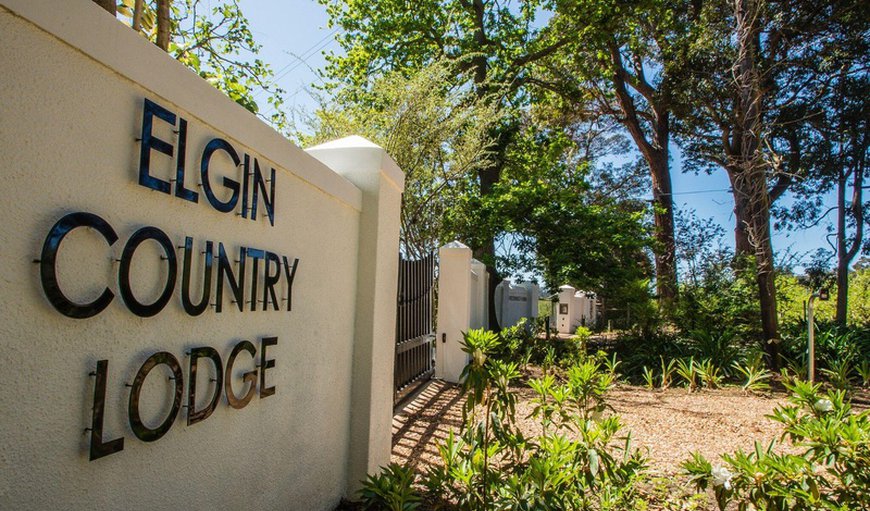 Welcome to Elgin Country Lodge! in Elgin, Grabouw, Western Cape, South Africa