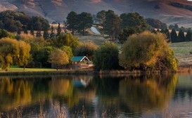Copperleigh Trout Cottages image