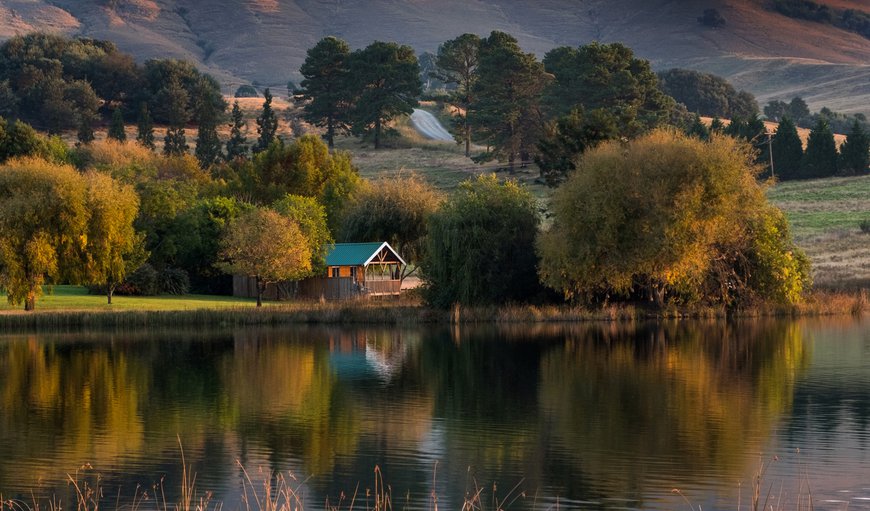 Copperleigh Trout Cabin photo 17