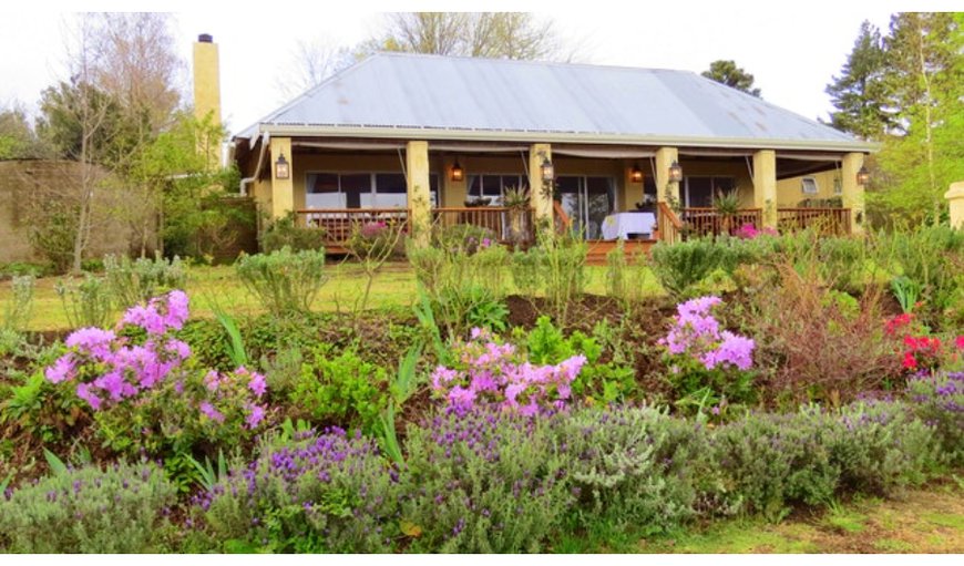 Welcome to The Edge Mountain Retreat in Hogsback, Eastern Cape, South Africa