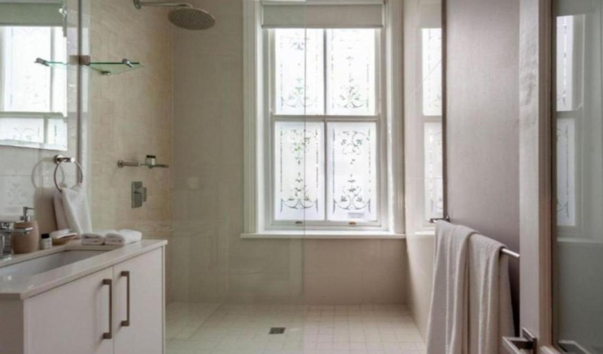 Classic Single Room: Shower