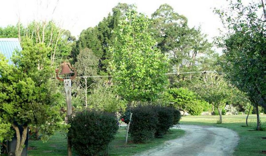 Swallowtail Country Estate - Drive way