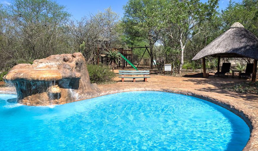 Swimming Pool in Marloth Park, Mpumalanga, South Africa