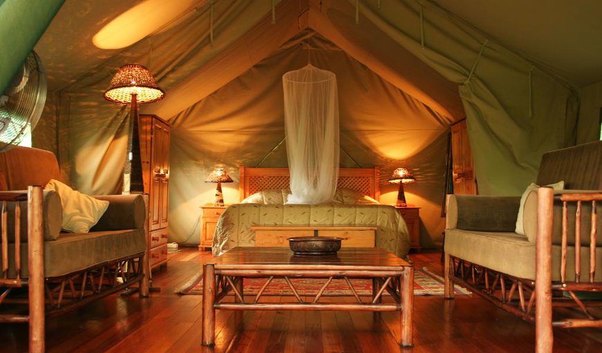 Maxi Safari Tent: Maxi Safari Tent
