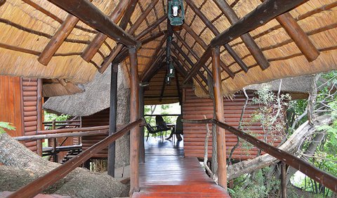 Tree Lodge: Tree Lodge - Walkway