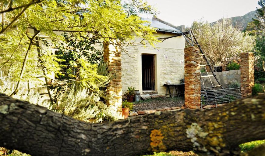 Welcome to Bethany Farm in Joubertina, Eastern Cape, South Africa