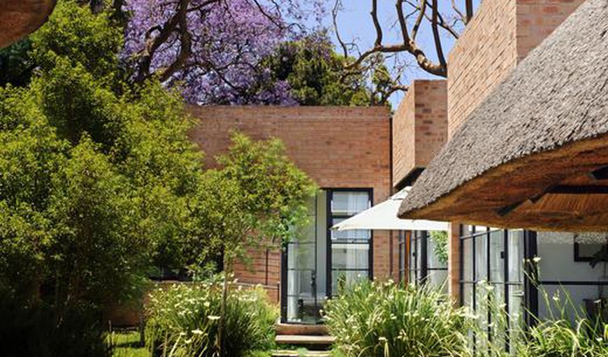 The house is large and modern and has a amazing garden with Jacaranda Trees
