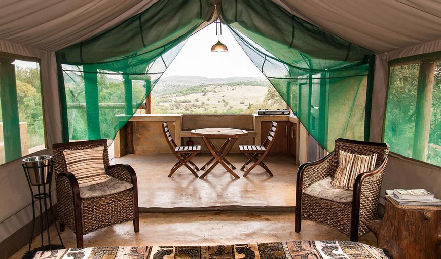 Welcome to B'sorah Luxury Tented Camp in Broederstroom, North West Province, South Africa