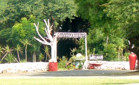 Kameelboom Lodge image