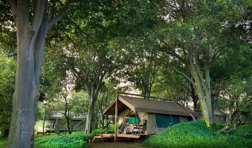 Tented Camp: Tented Camp