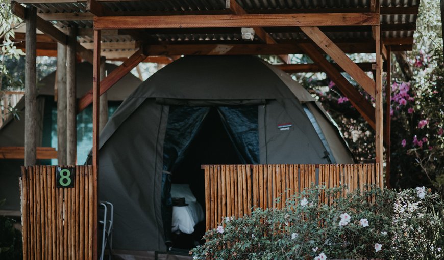 Twin Tented Unit in Garden photo 63