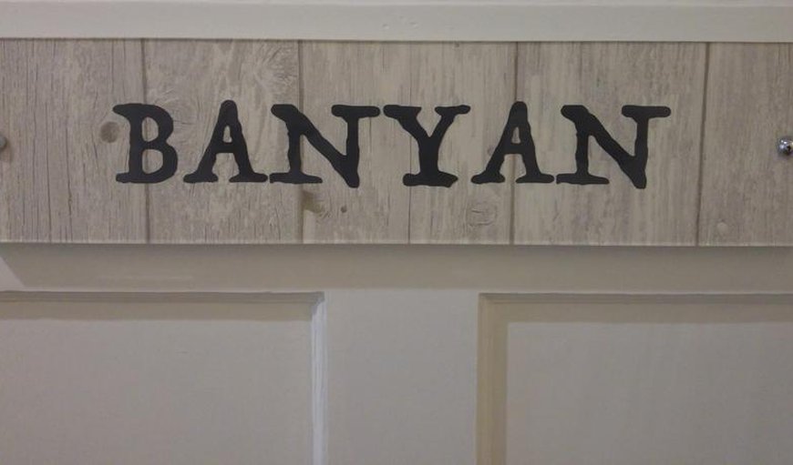 Room 5 Banyan: The beautiful banyan room