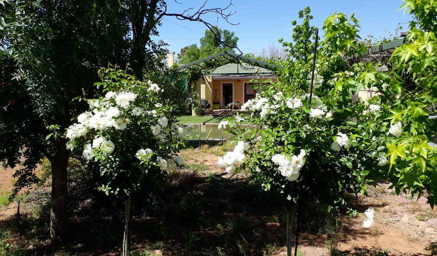 Welcome to Aandster Oornag Akkommodasie in Middelburg, Eastern Cape, South Africa