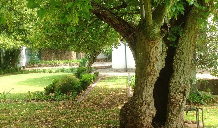 Lovely Garden