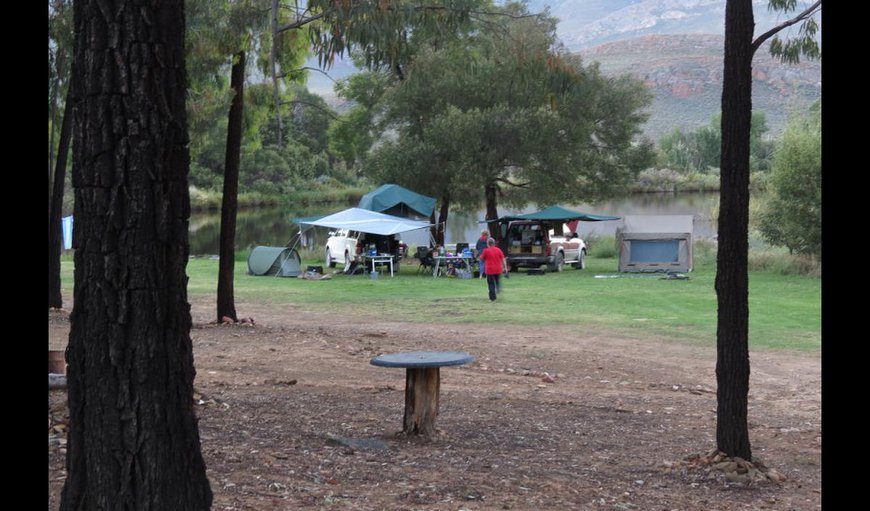 Campsite photo 6